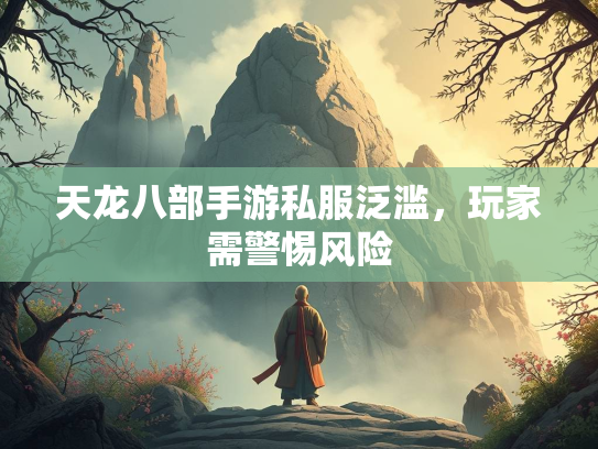 天龙八部手游私服泛滥，玩家需警惕风险  第2张