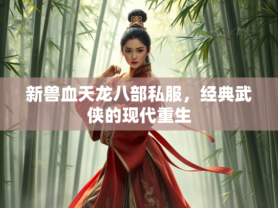 新兽血天龙八部私服，经典武侠的现代重生  第1张