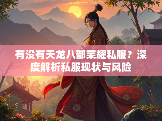 有没有天龙八部荣耀私服？深度解析私服现状与风险  第2张