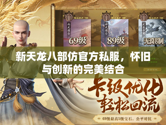 新天龙八部仿官方私服，怀旧与创新的完美结合  第4张