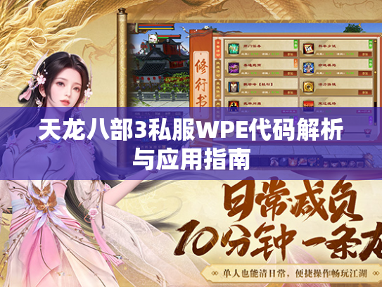 天龙八部3私服WPE代码解析与应用指南
