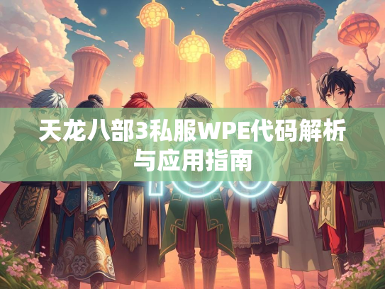 天龙八部3私服WPE代码解析与应用指南