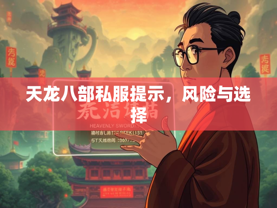 天龙八部私服提示，风险与选择  第2张