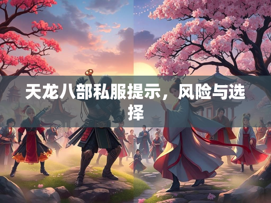 天龙八部私服提示，风险与选择