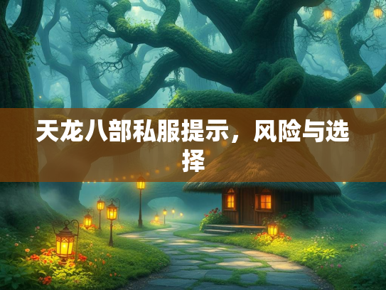 天龙八部私服提示，风险与选择  第1张