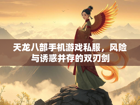 天龙八部手机游戏私服，风险与诱惑并存的双刃剑  第3张