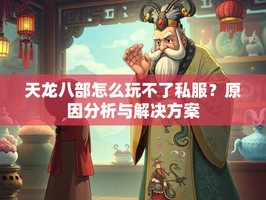 天龙八部怎么玩不了私服？原因分析与解决方案  第2张