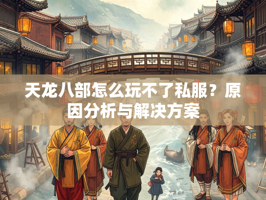 天龙八部怎么玩不了私服？原因分析与解决方案  第1张