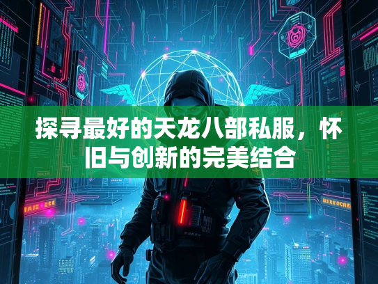 探寻最好的天龙八部私服，怀旧与创新的完美结合  第2张
