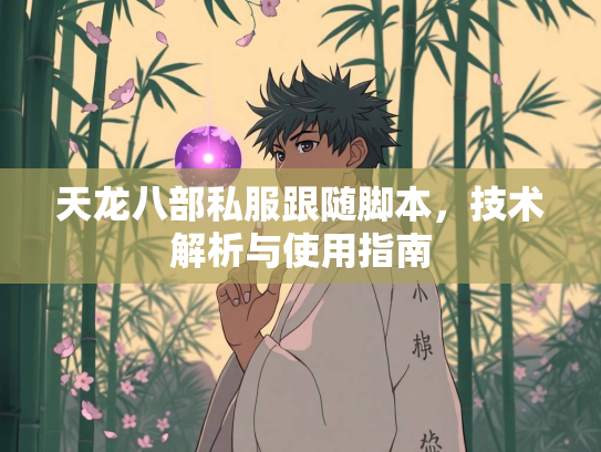 天龙八部私服跟随脚本，技术解析与使用指南  第3张