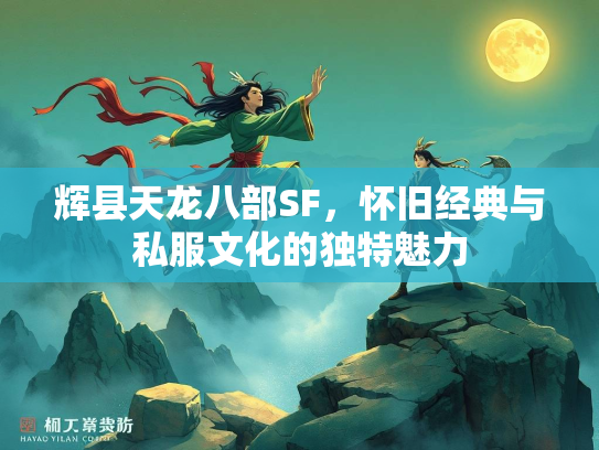 辉县天龙八部SF，怀旧经典与私服文化的独特魅力  第1张