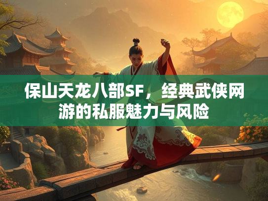 保山天龙八部SF，经典武侠网游的私服魅力与风险  第2张