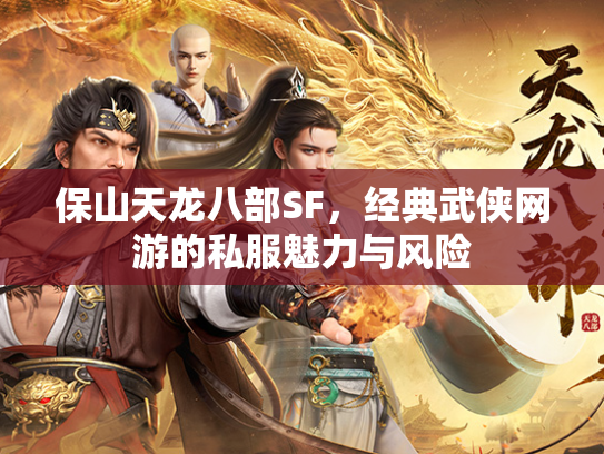 保山天龙八部SF，经典武侠网游的私服魅力与风险  第3张