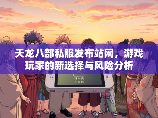 天龙八部私服发布站网，游戏玩家的新选择与风险分析  第1张