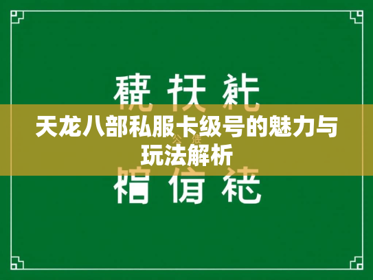 天龙八部私服卡级号的魅力与玩法解析  第2张