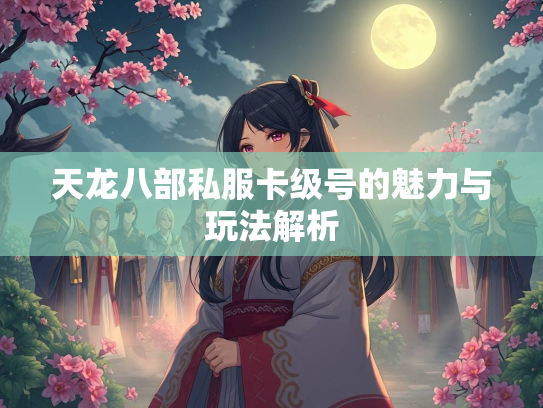 天龙八部私服卡级号的魅力与玩法解析  第3张