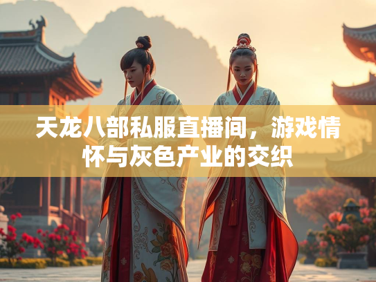 天龙八部私服直播间，游戏情怀与灰色产业的交织