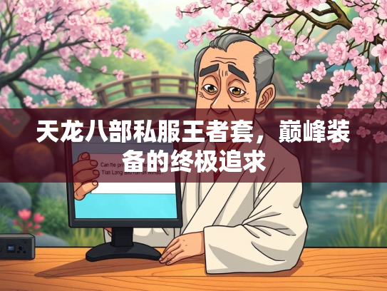 天龙八部私服王者套，巅峰装备的终极追求  第1张