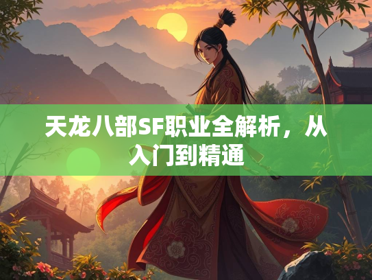 天龙八部SF职业全解析，从入门到精通  第2张