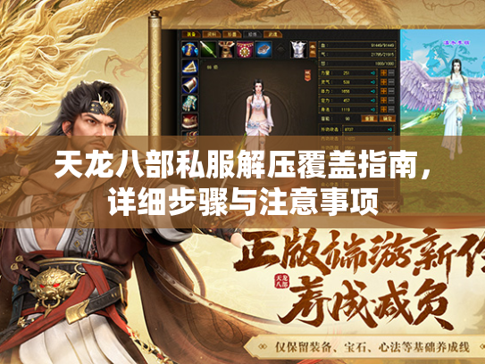 天龙八部私服解压覆盖指南，详细步骤与注意事项  第3张