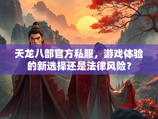 天龙八部官方私服，游戏体验的新选择还是法律风险？  第2张