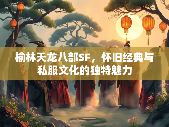 榆林天龙八部SF，怀旧经典与私服文化的独特魅力  第2张