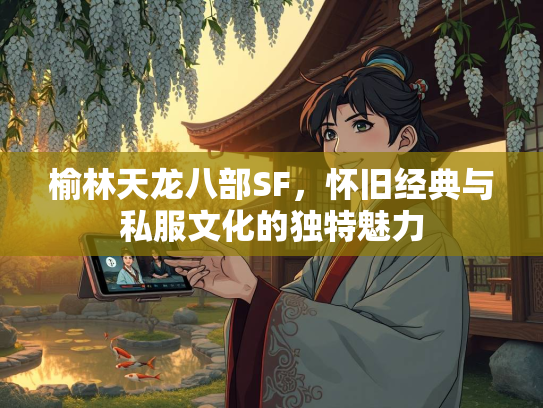 榆林天龙八部SF，怀旧经典与私服文化的独特魅力  第1张