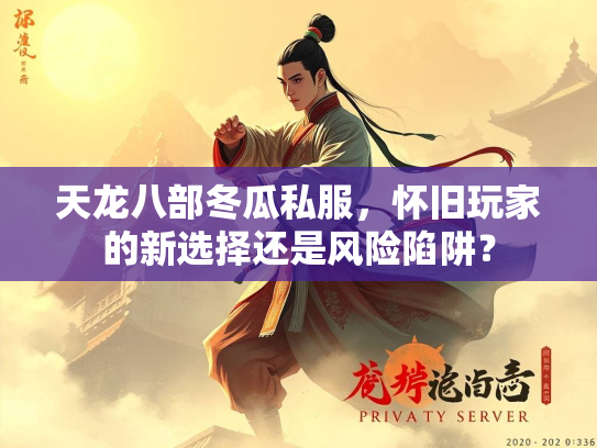 天龙八部冬瓜私服，怀旧玩家的新选择还是风险陷阱？
