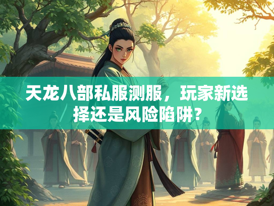 天龙八部私服测服，玩家新选择还是风险陷阱？