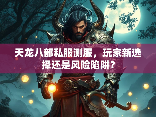 天龙八部私服测服，玩家新选择还是风险陷阱？