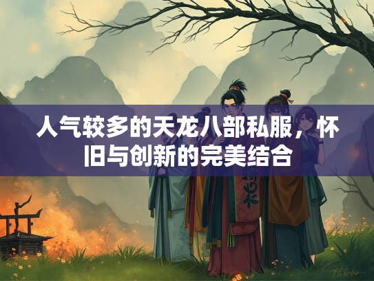 人气较多的天龙八部私服，怀旧与创新的完美结合