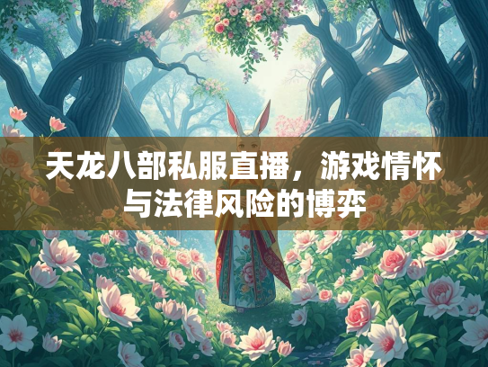 天龙八部私服直播，游戏情怀与法律风险的博弈