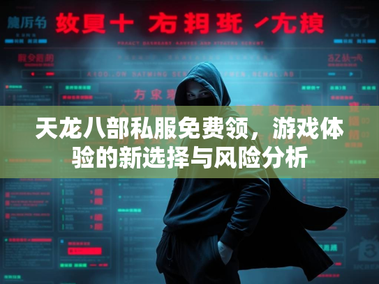 天龙八部私服免费领，游戏体验的新选择与风险分析