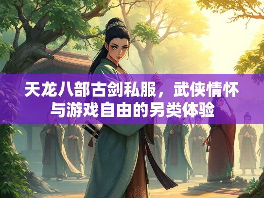 天龙八部古剑私服，武侠情怀与游戏自由的另类体验  第3张
