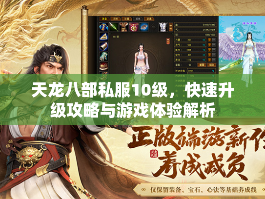 天龙八部私服10级，快速升级攻略与游戏体验解析