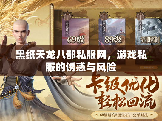 黑纸天龙八部私服网，游戏私服的诱惑与风险  第2张