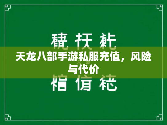 天龙八部手游私服充值，风险与代价