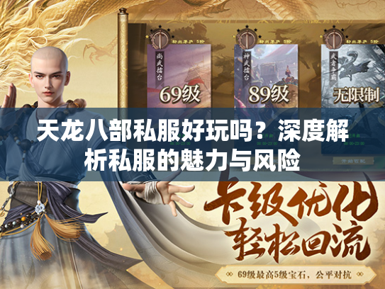 天龙八部私服好玩吗？深度解析私服的魅力与风险  第2张
