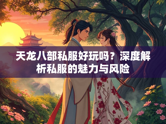 天龙八部私服好玩吗？深度解析私服的魅力与风险  第1张