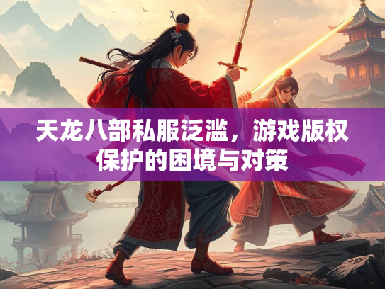天龙八部私服泛滥，游戏版权保护的困境与对策  第2张