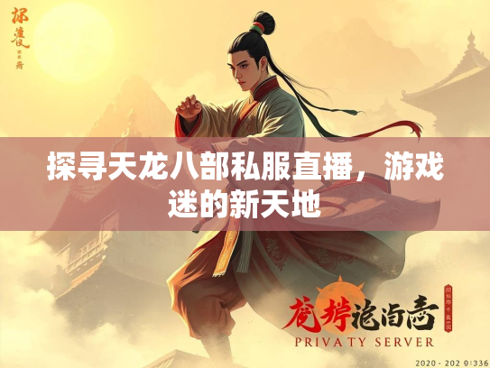 探寻天龙八部私服直播，游戏迷的新天地