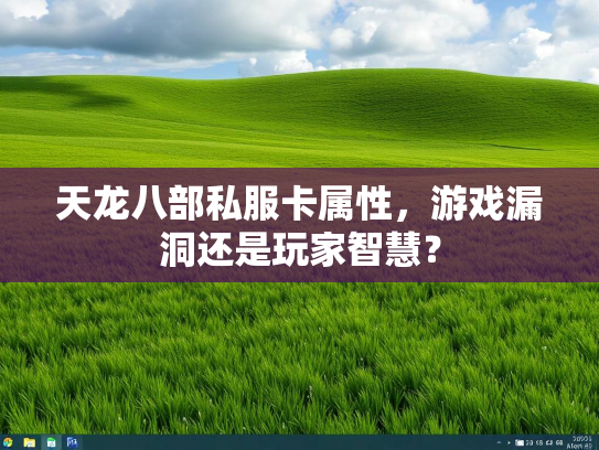 天龙八部私服卡属性，游戏漏洞还是玩家智慧？