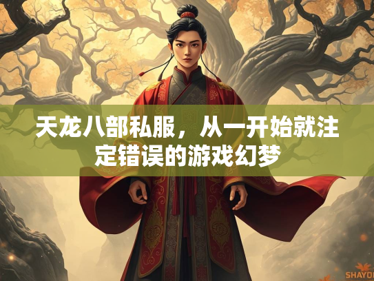 天龙八部私服，从一开始就注定错误的游戏幻梦  第1张