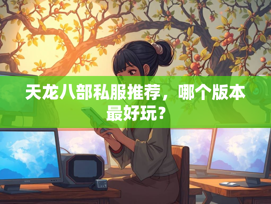 天龙八部私服推荐，哪个版本最好玩？  第1张