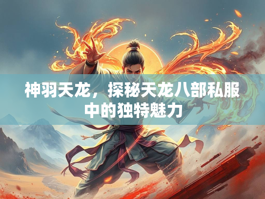 神羽天龙，探秘天龙八部私服中的独特魅力  第2张