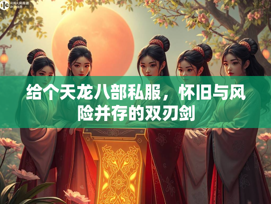 给个天龙八部私服，怀旧与风险并存的双刃剑  第1张