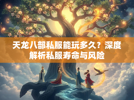 天龙八部私服能玩多久？深度解析私服寿命与风险  第3张