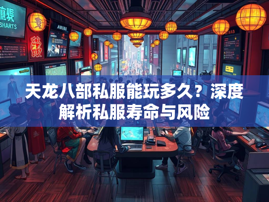 天龙八部私服能玩多久？深度解析私服寿命与风险  第1张