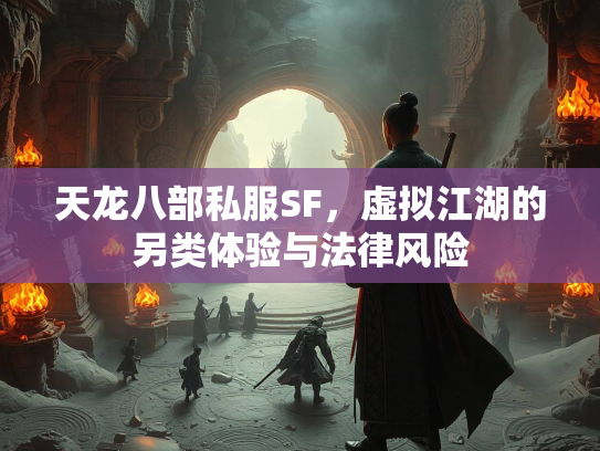 天龙八部私服SF，虚拟江湖的另类体验与法律风险  第3张