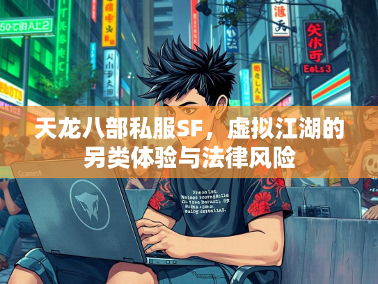 天龙八部私服SF，虚拟江湖的另类体验与法律风险  第1张